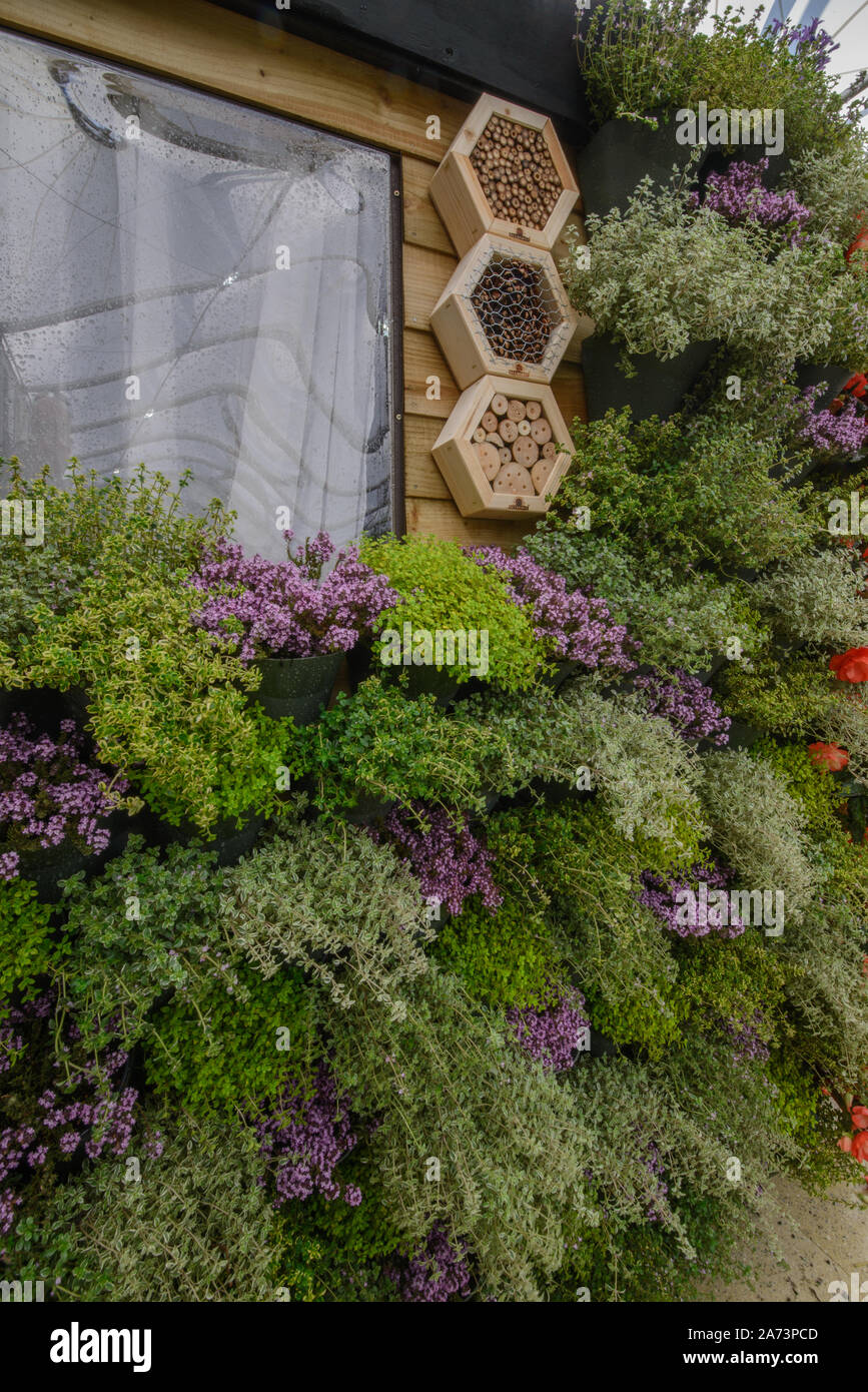 Green wall / vertical gardening Stock Photo - Alamy