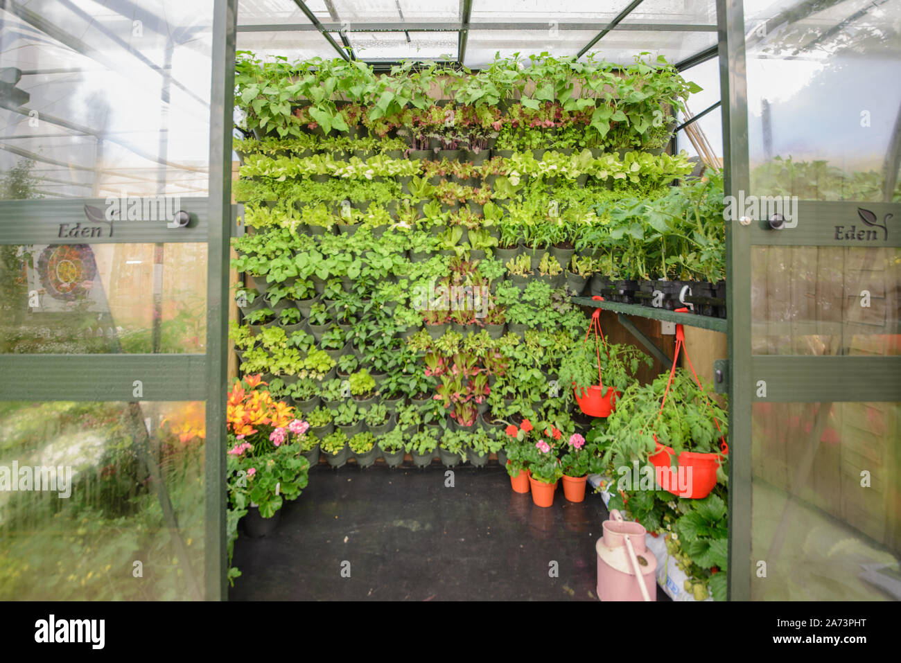 Green wall / vertical gardening Stock Photo - Alamy
