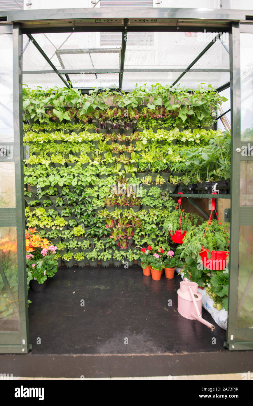 Green wall / vertical gardening Stock Photo - Alamy