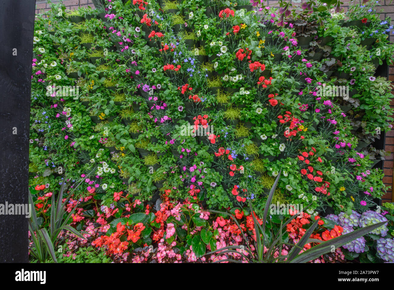 Green wall / vertical gardening Stock Photo - Alamy
