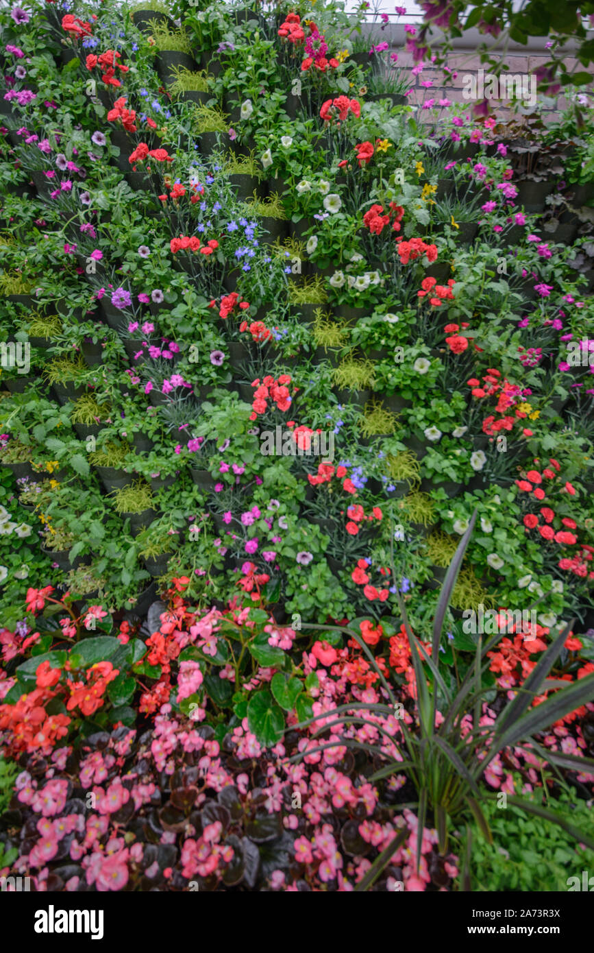 Green wall / vertical gardening Stock Photo - Alamy