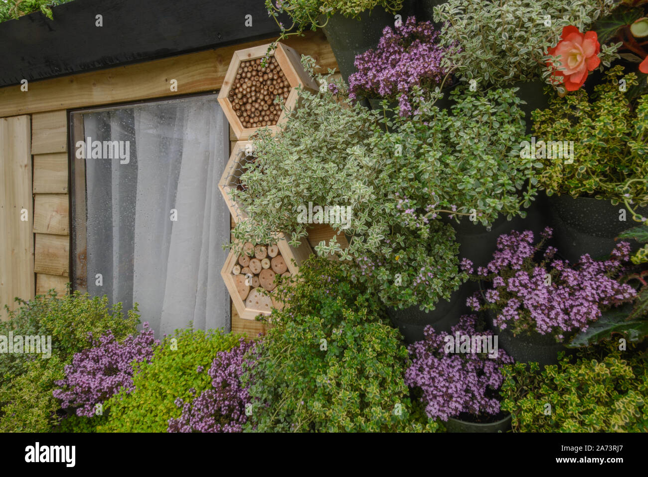 Green wall / vertical gardening Stock Photo - Alamy
