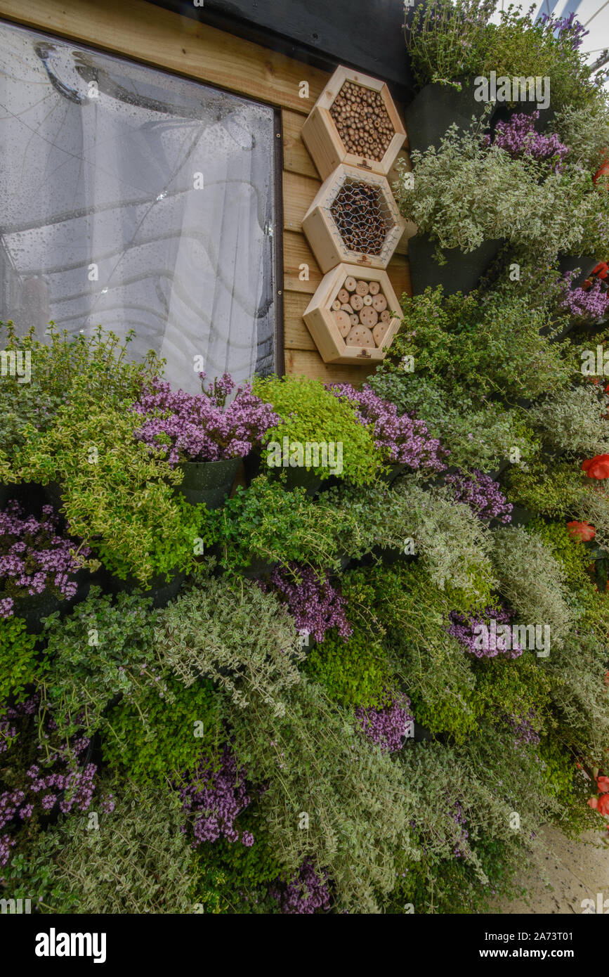 Green wall / vertical gardening Stock Photo - Alamy
