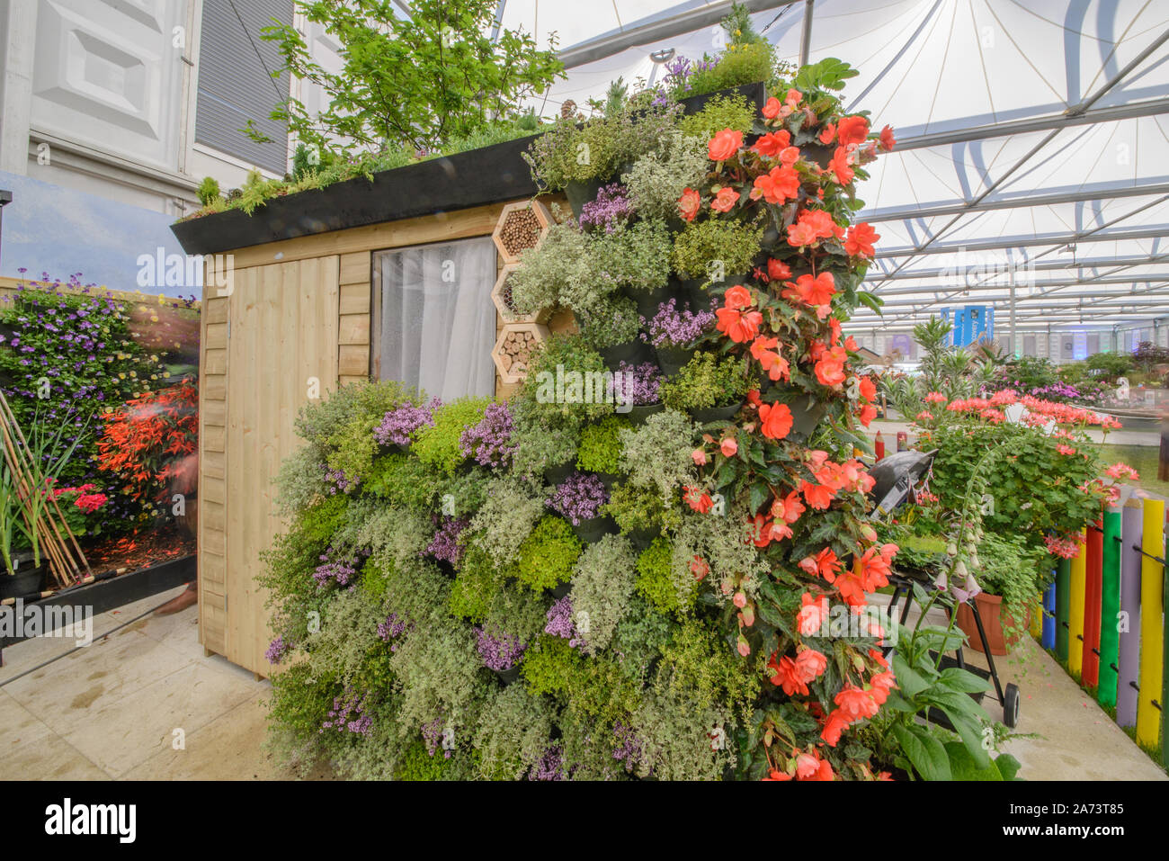 Green wall / vertical gardening Stock Photo - Alamy