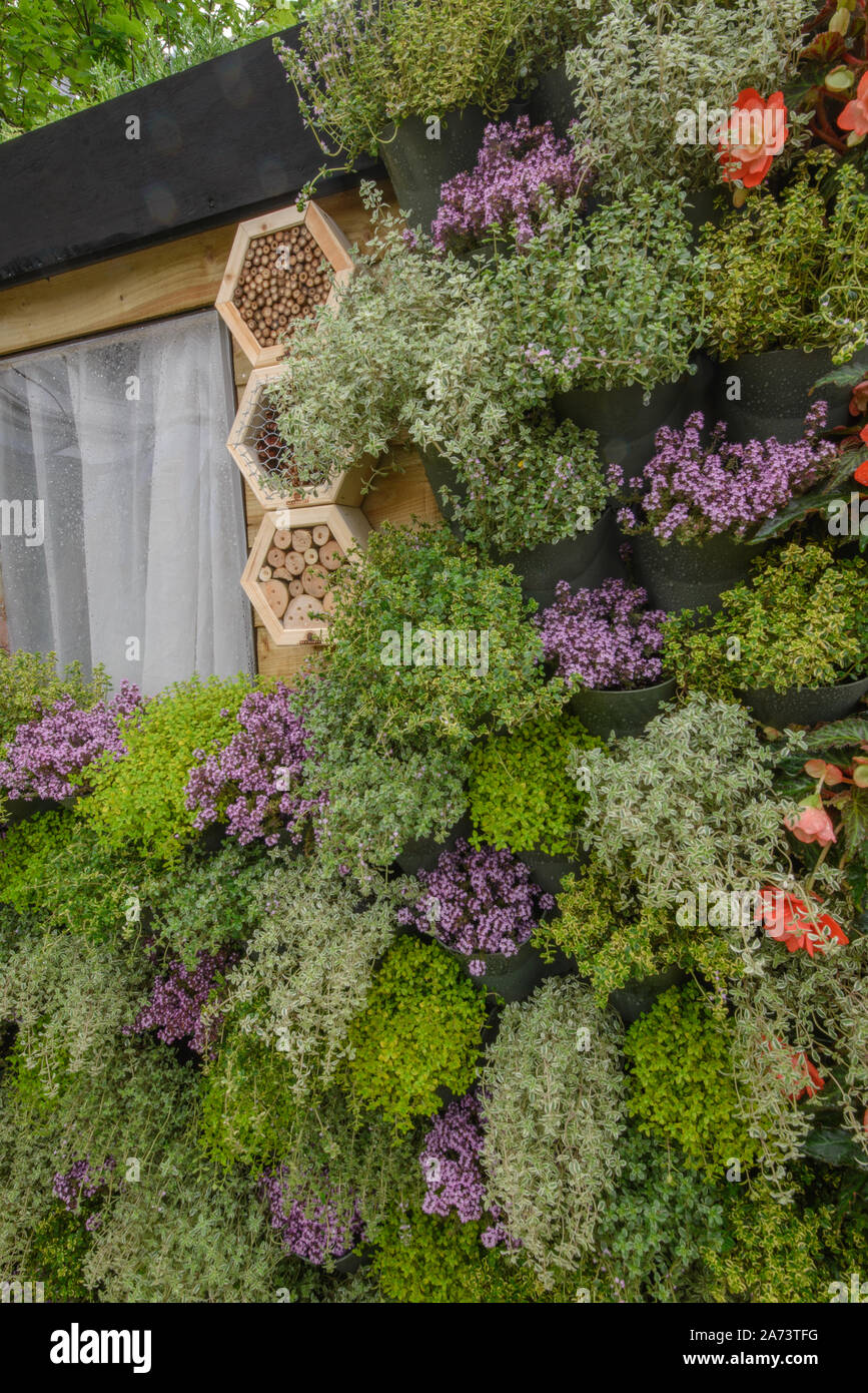 Green wall / vertical gardening Stock Photo - Alamy