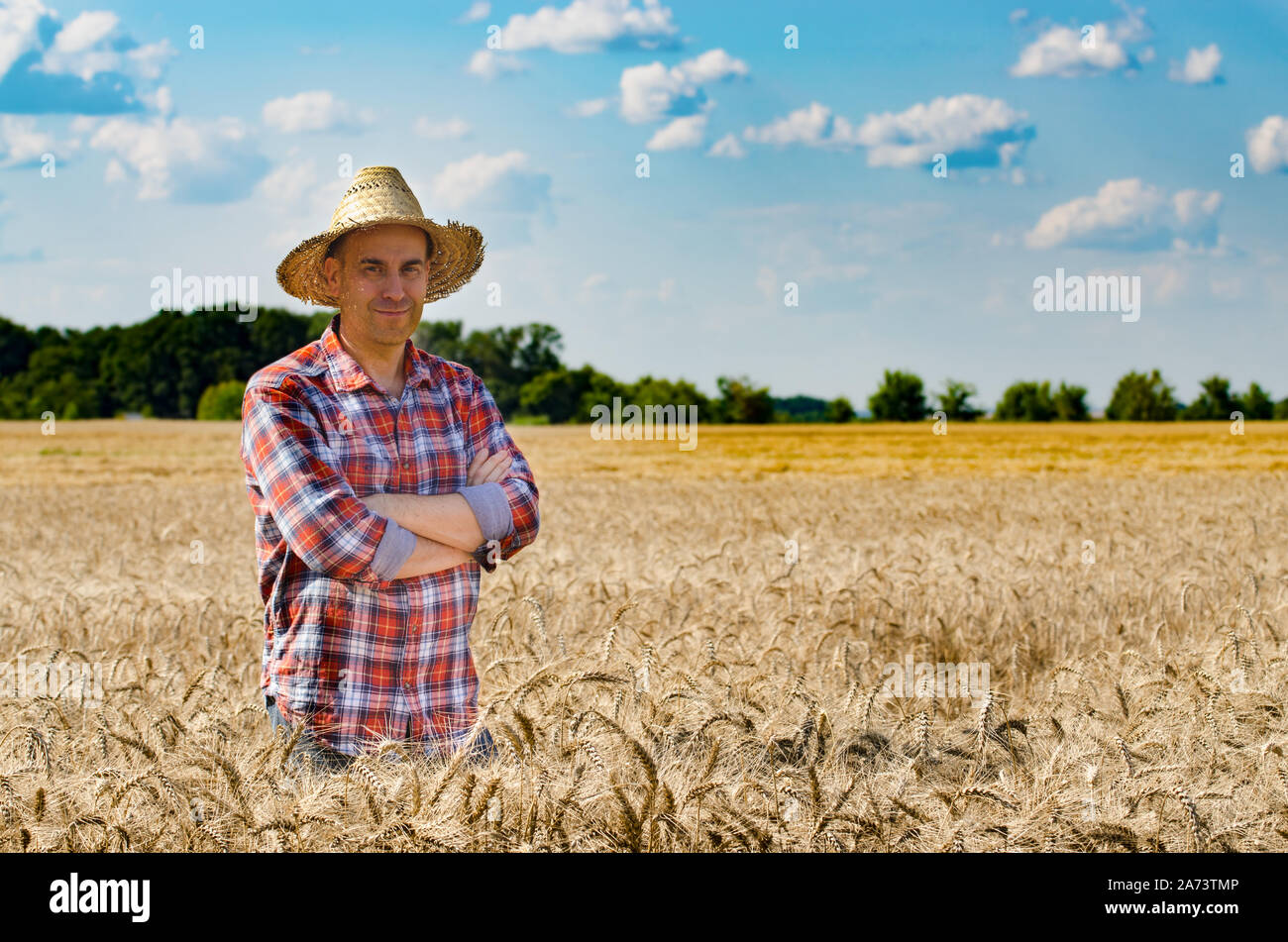 Farmer wheat field hi-res stock photography and images - Alamy