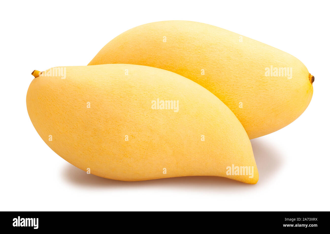 yellow mango path isolated on white Stock Photo