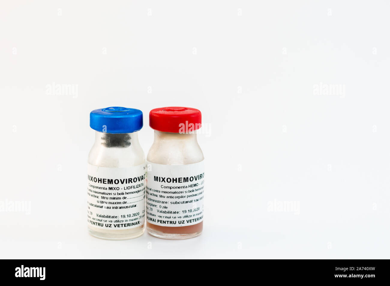 Cluj Rabbit Cluj-Napoca/Romania-10 24 2019: Mixohemovirovac vaccine for rabbits ...