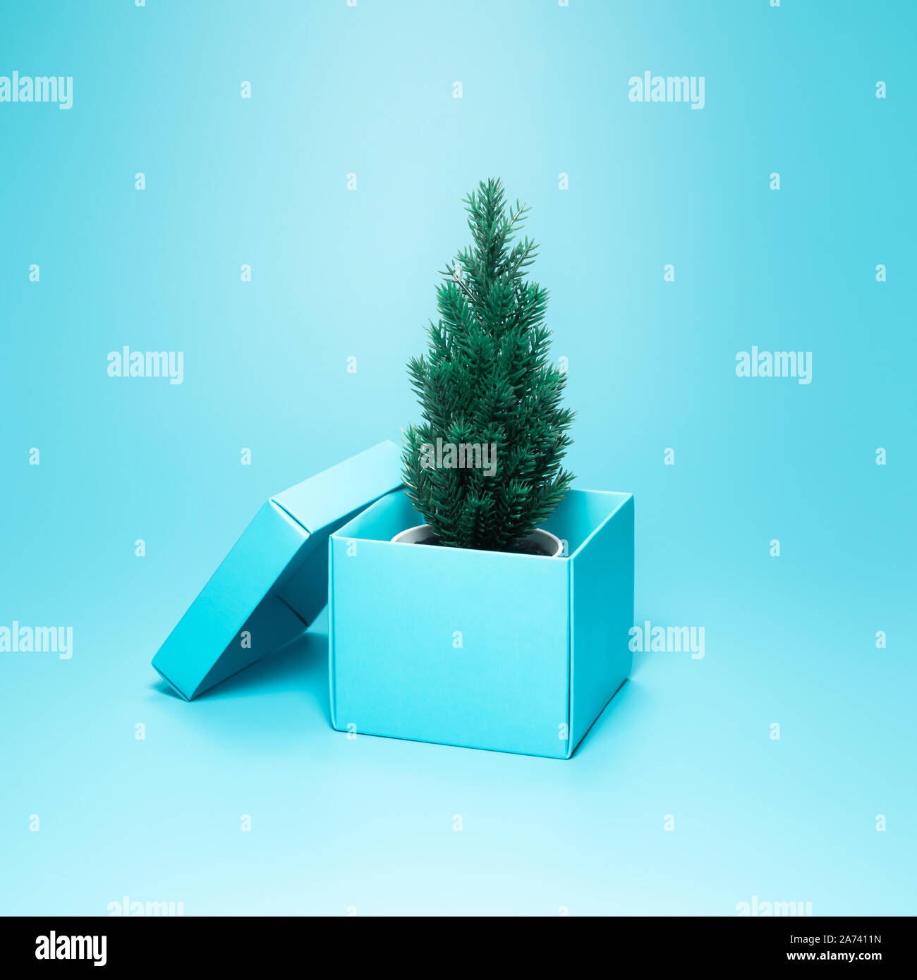 Packet tree hi-res stock photography and images - Alamy