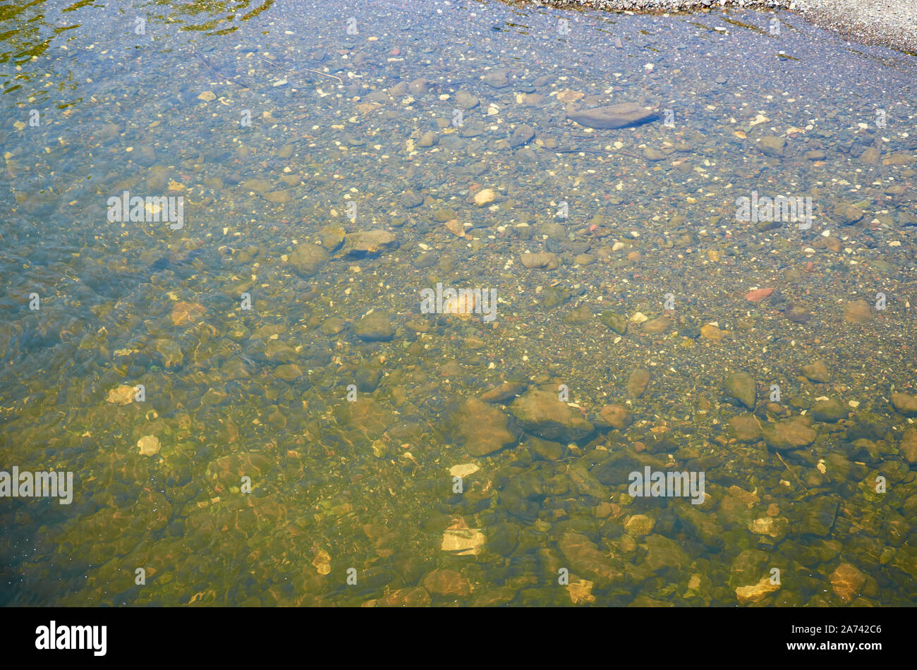 Bottom of a shallow river, with stones and pebbles Stock Photo - Alamy