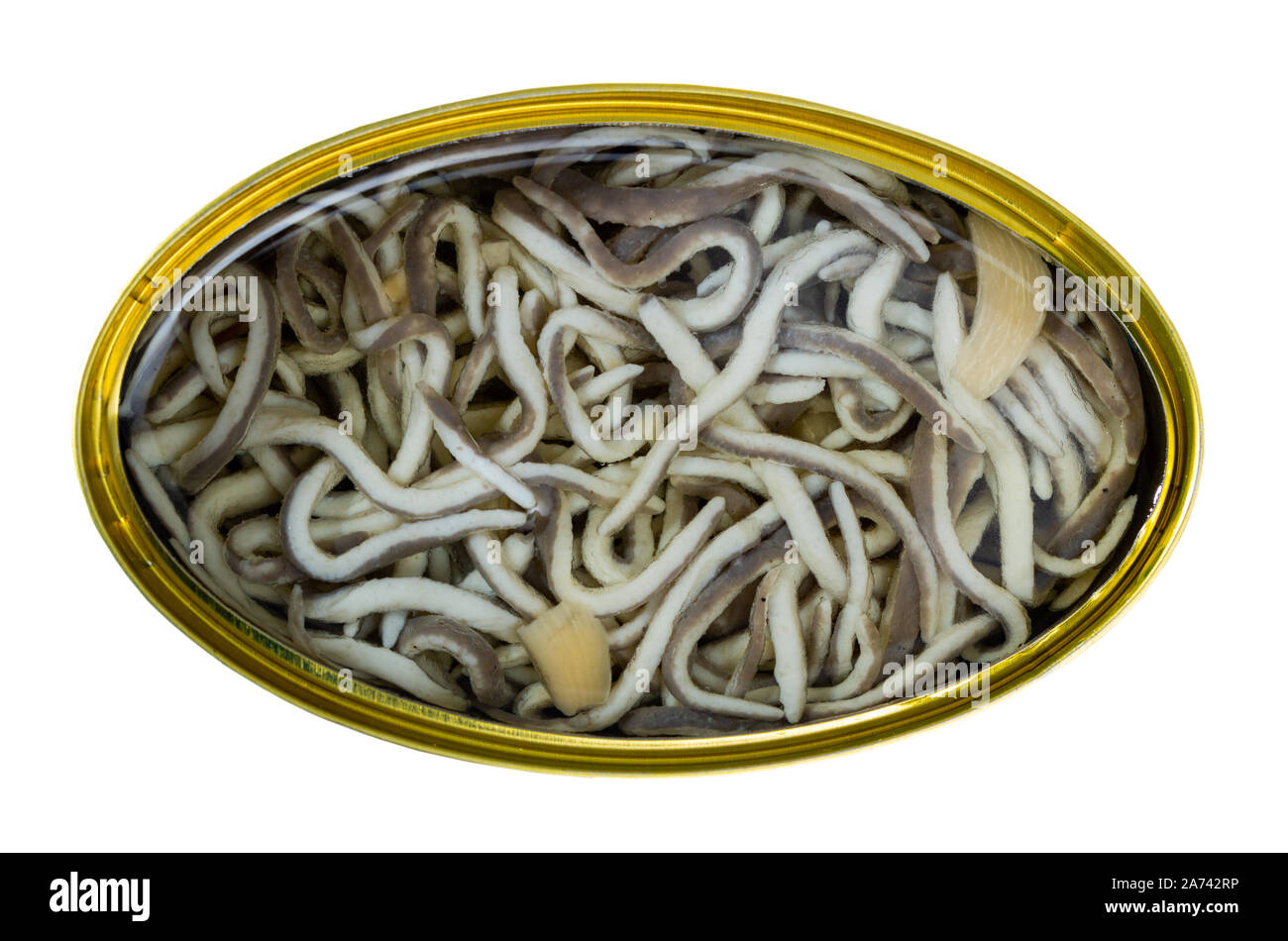 Open tin can of pickled eels and garlic with greens, nobody. Isolated