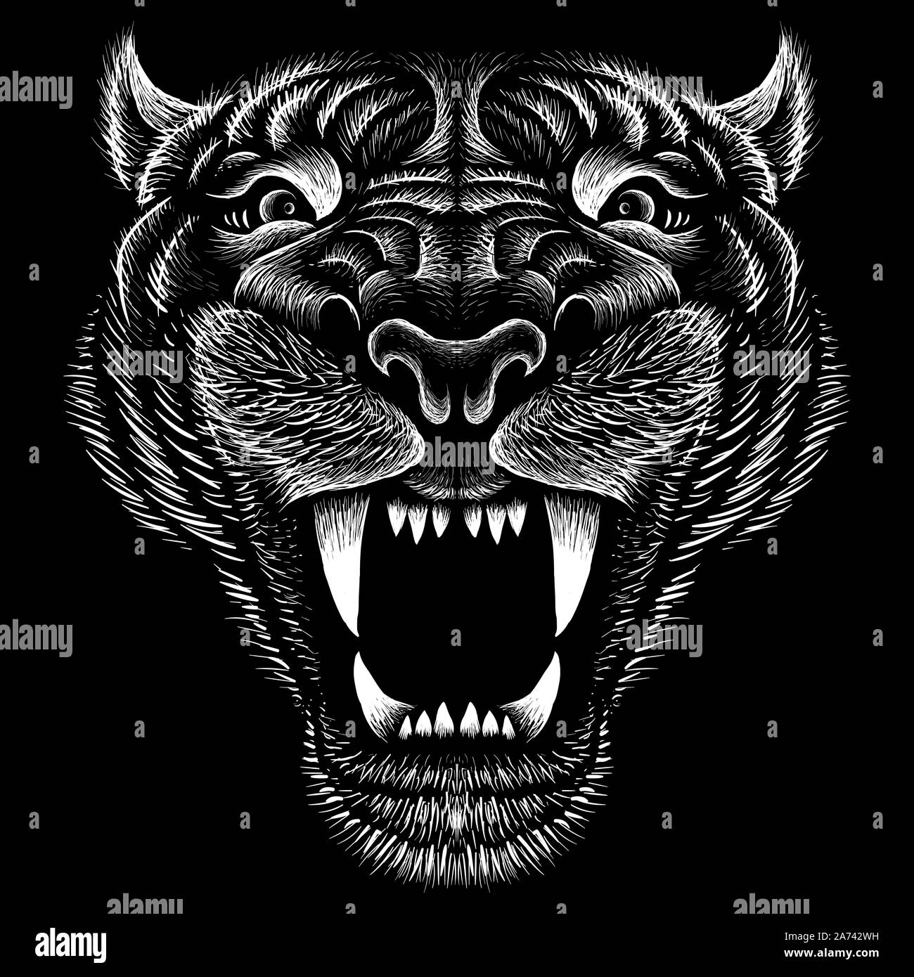 tiger vector drawing tiger drawing sketch in full growth crouching tiger  in black and white vector graphics to design Stock Vector  Adobe Stock