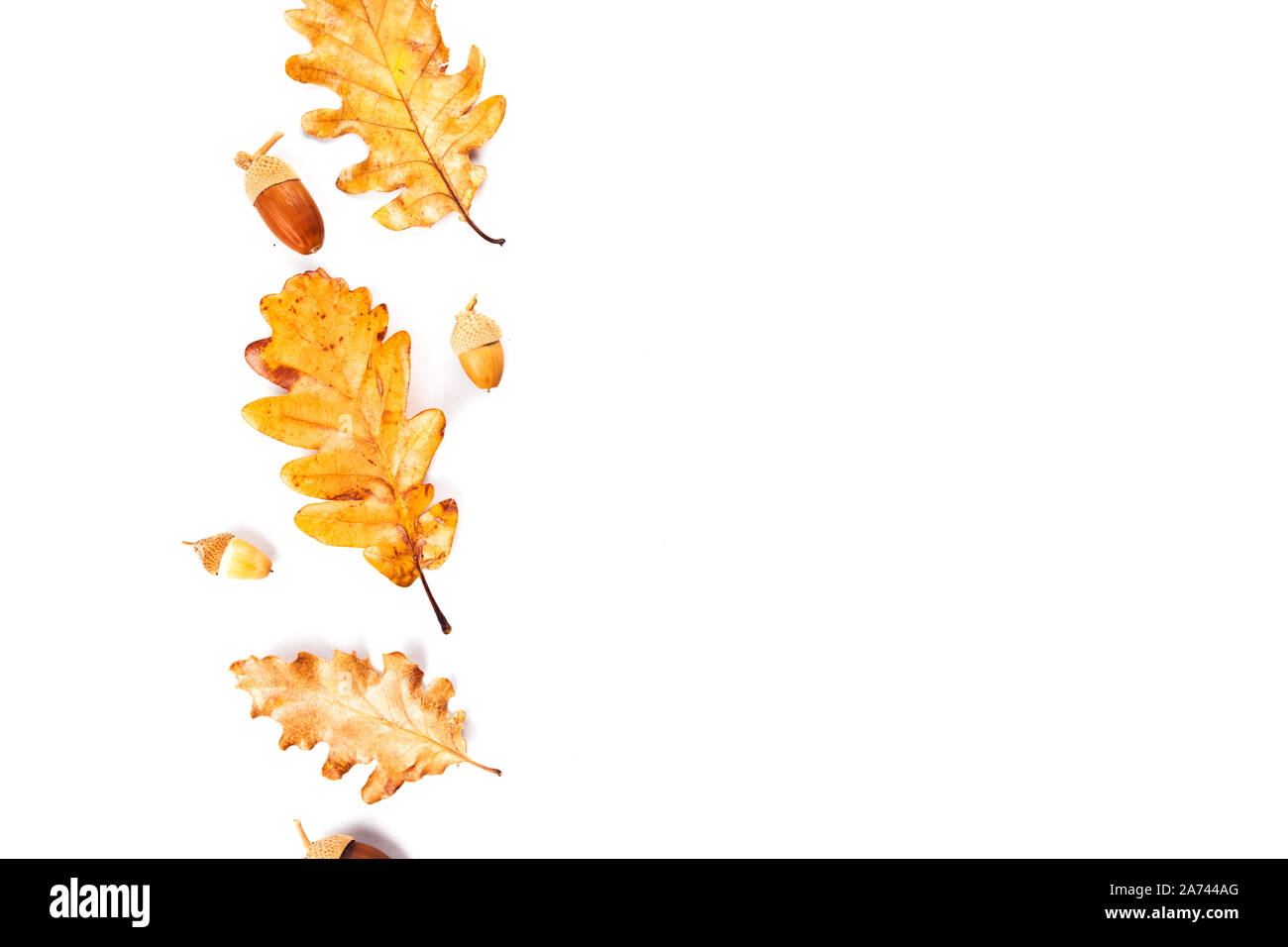 Autumn fall leaves from trees, rose hip. flat lay, top view. Composition for your design. Stock Photo