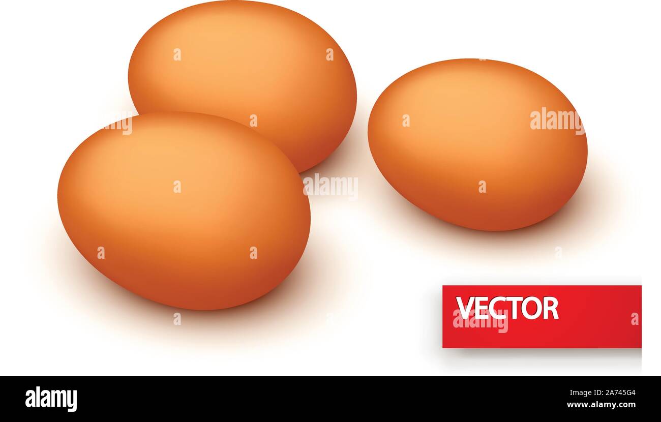 group of eggs Stock Vector Image & Art Alamy