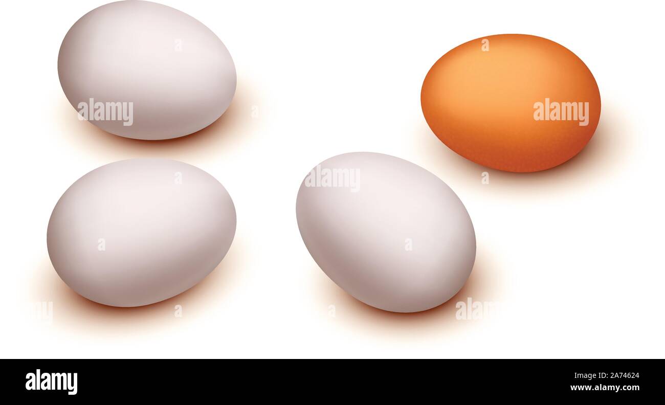 picture of egg group Stock Vector Image & Art Alamy