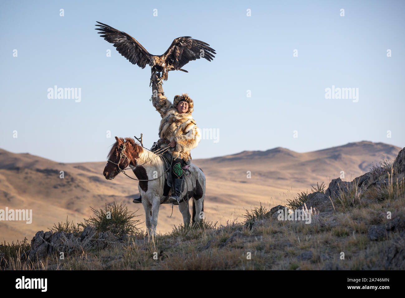 Old Traditional Kazakh Eagle Hunter Posing With His Golden Eagle In The Mountains Ulgii Western Mongolia Stock Photo Alamy