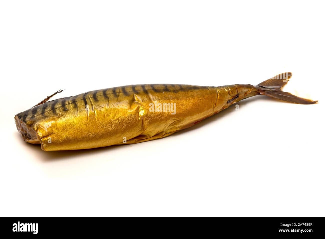 Smoked atlantic mackerel (Scomber scombrus) on a white background Stock Photo
