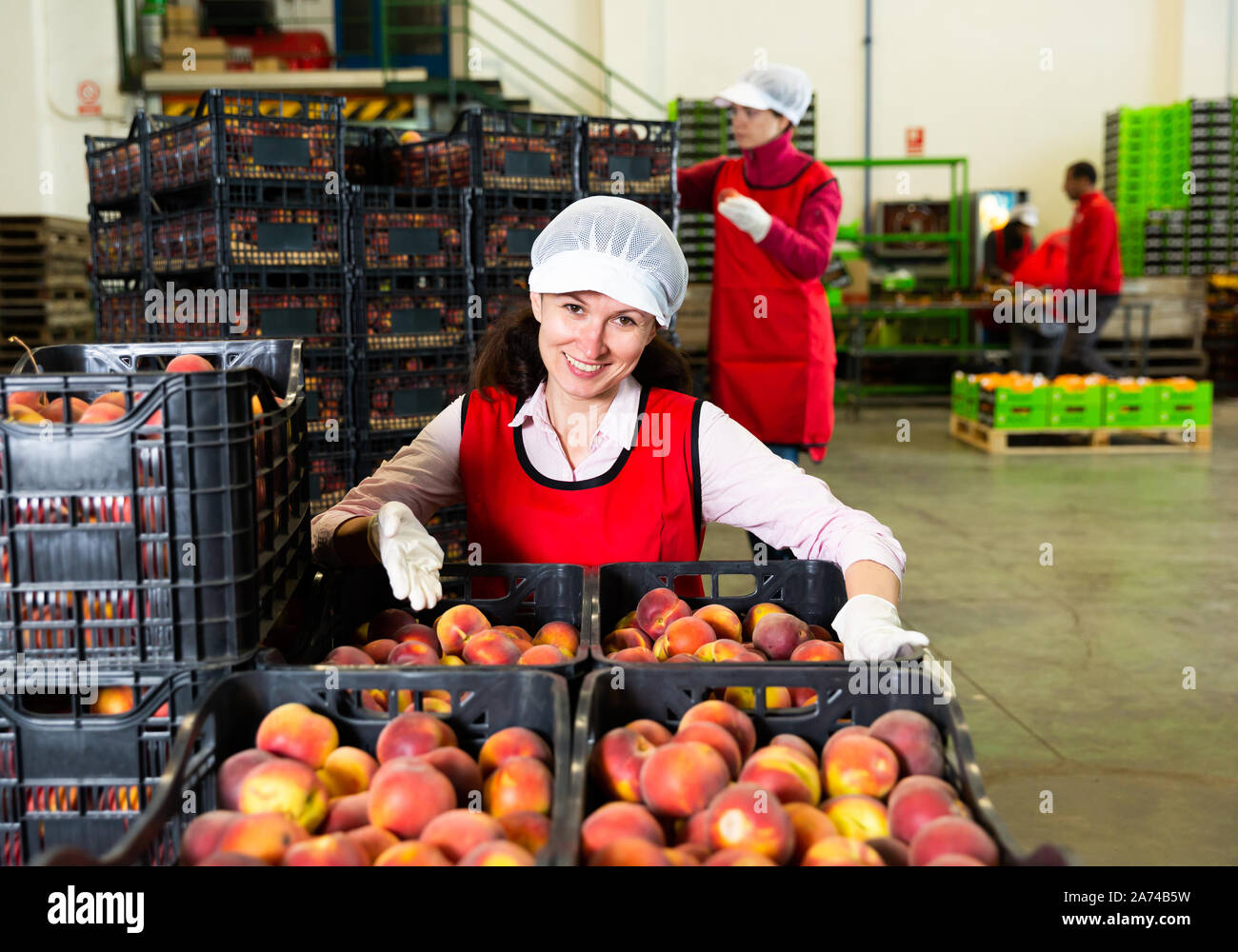 Portrait of two women in uniform packaging harvested peaches in boxes Stock Photo
