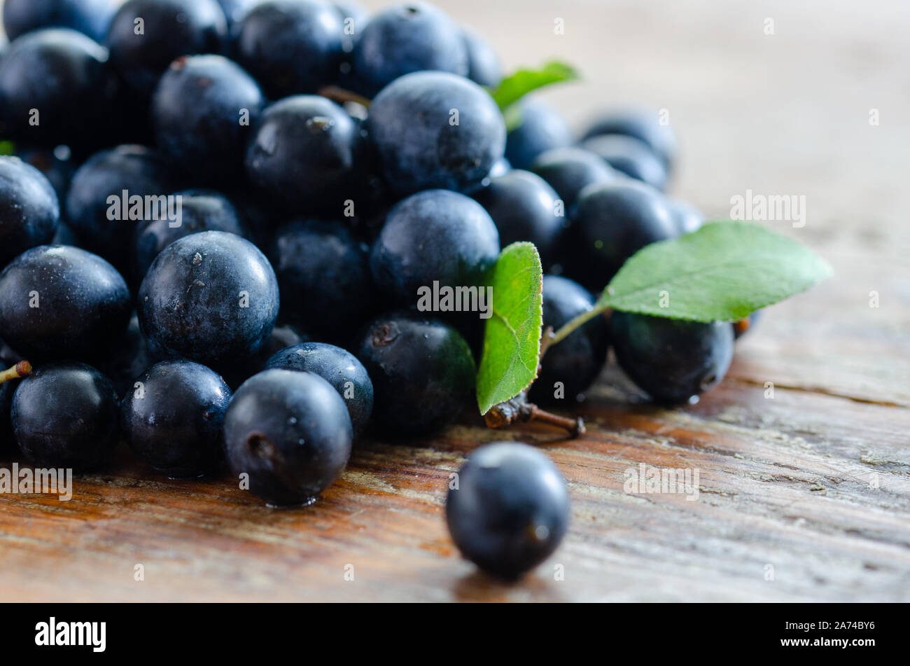 Blueberries antioxidant organic superfood on wooden table for healthy eating and nutrition Stock