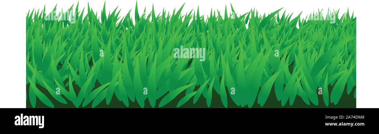 green grass isolated Stock Vector Image & Art - Alamy