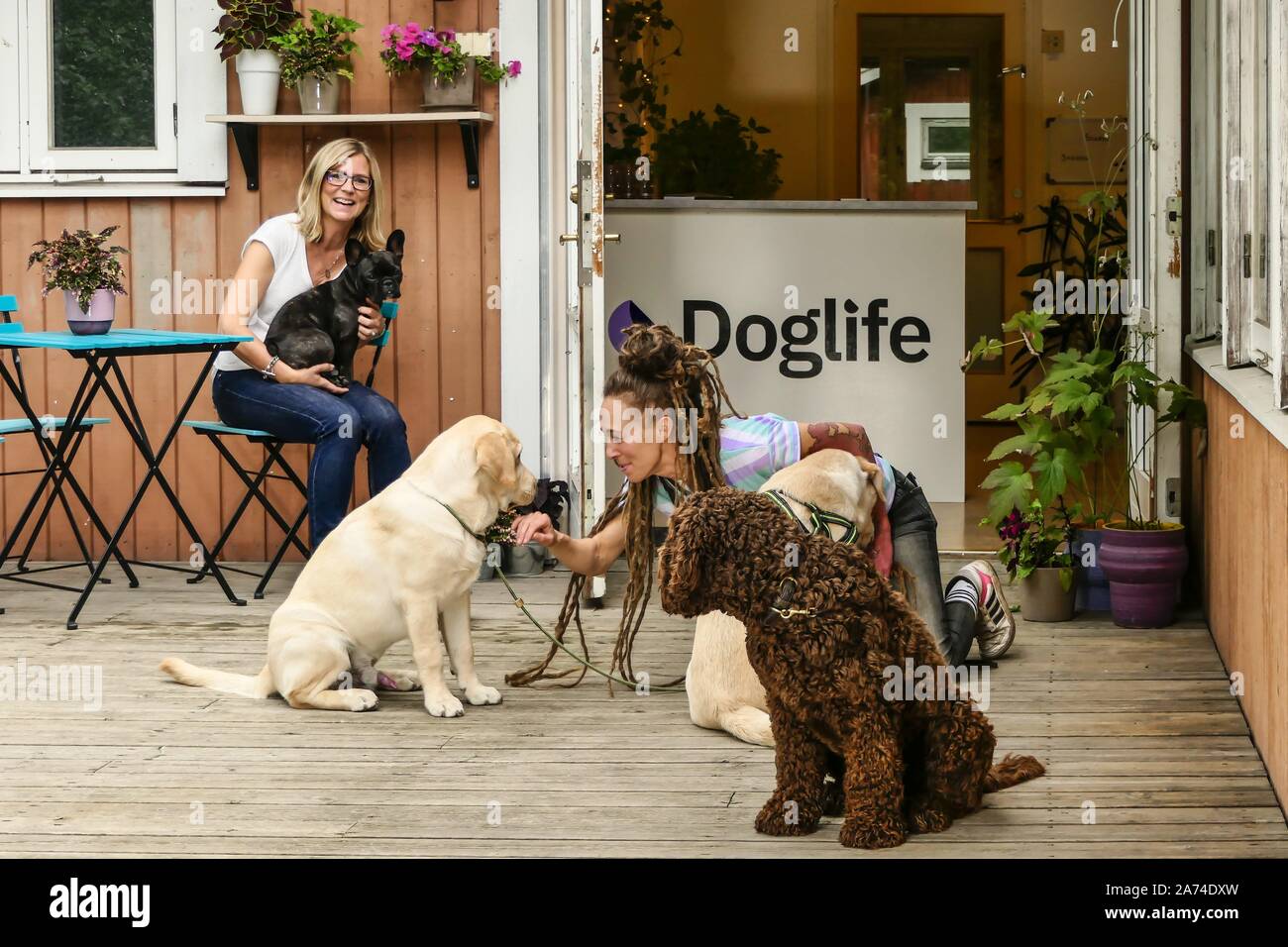 Stockholm, Sweden A daycare center for dogs and their trainers or keepers, | usage worldwide Stock Photo