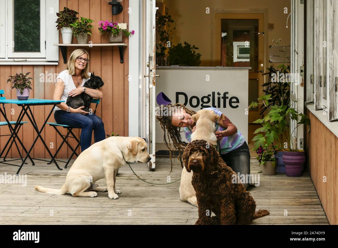 Stockholm, Sweden A daycare center for dogs and their trainers or keepers, | usage worldwide Stock Photo