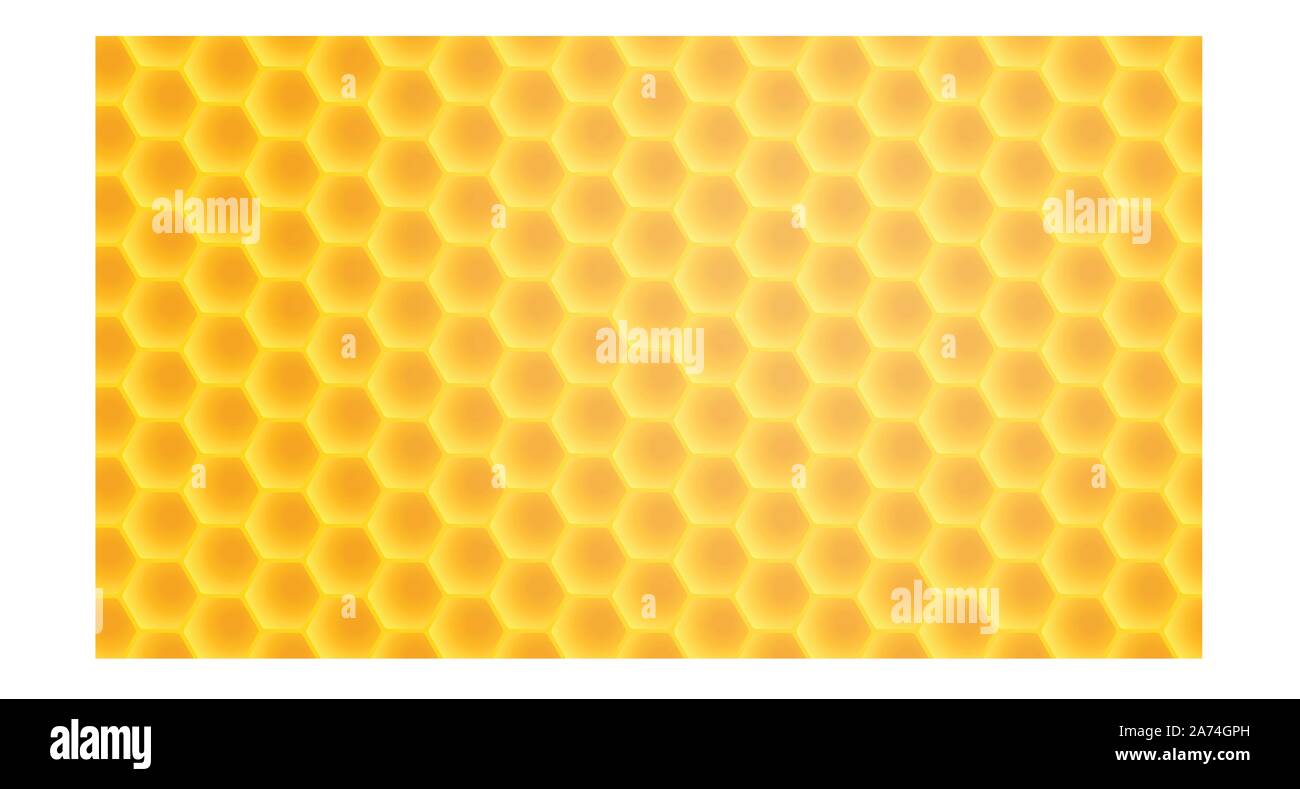 honeycomb wide back Stock Vector