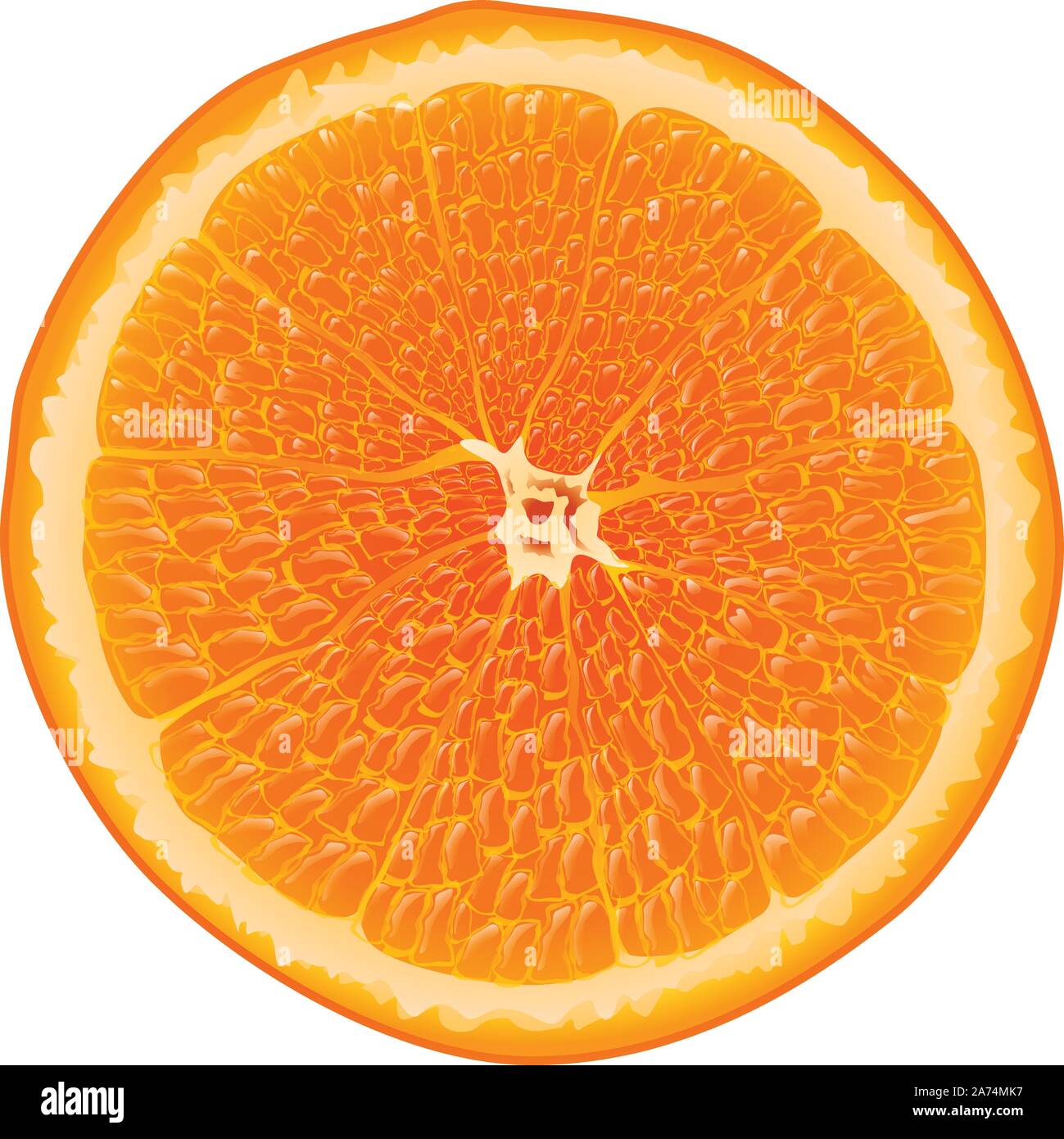 Citrus orange fruit full Stock Vector Images Alamy