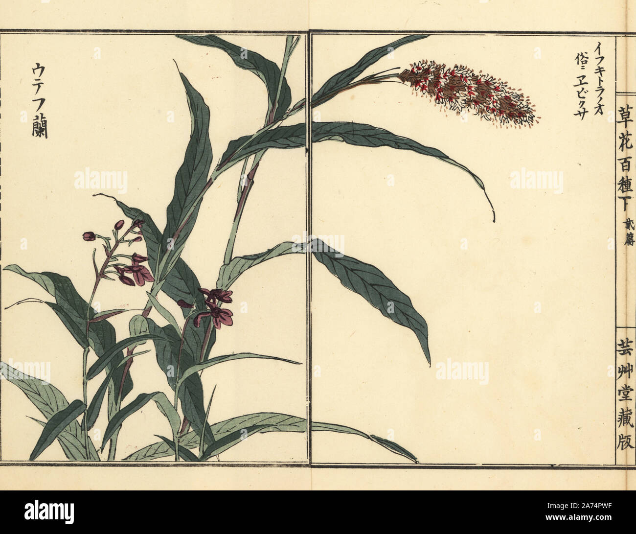 Yamada hi-res stock photography and images - Page 29 - Alamy