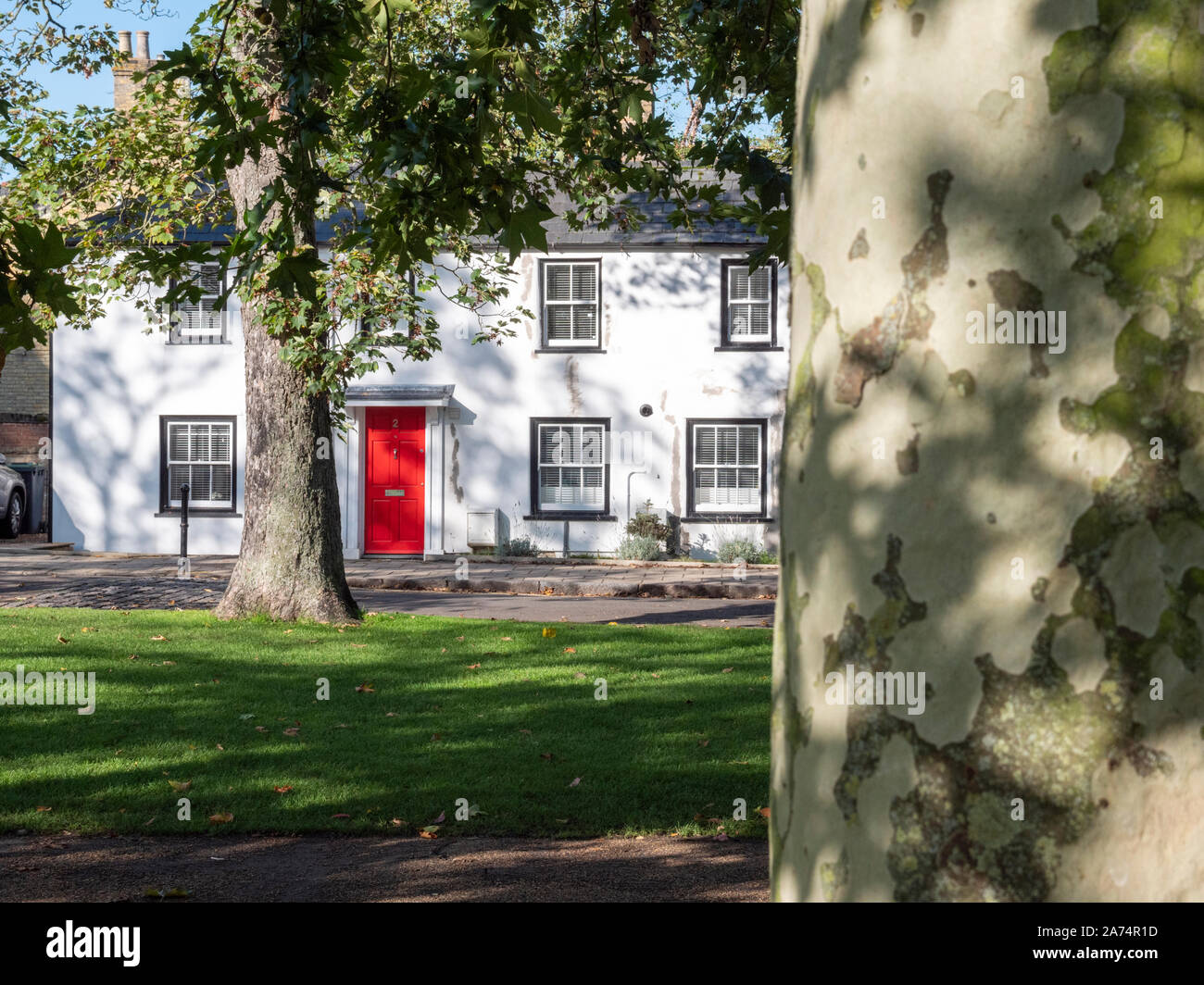 Old houses in a leafy area of the City of Ely Cambridgeshire UK Stock