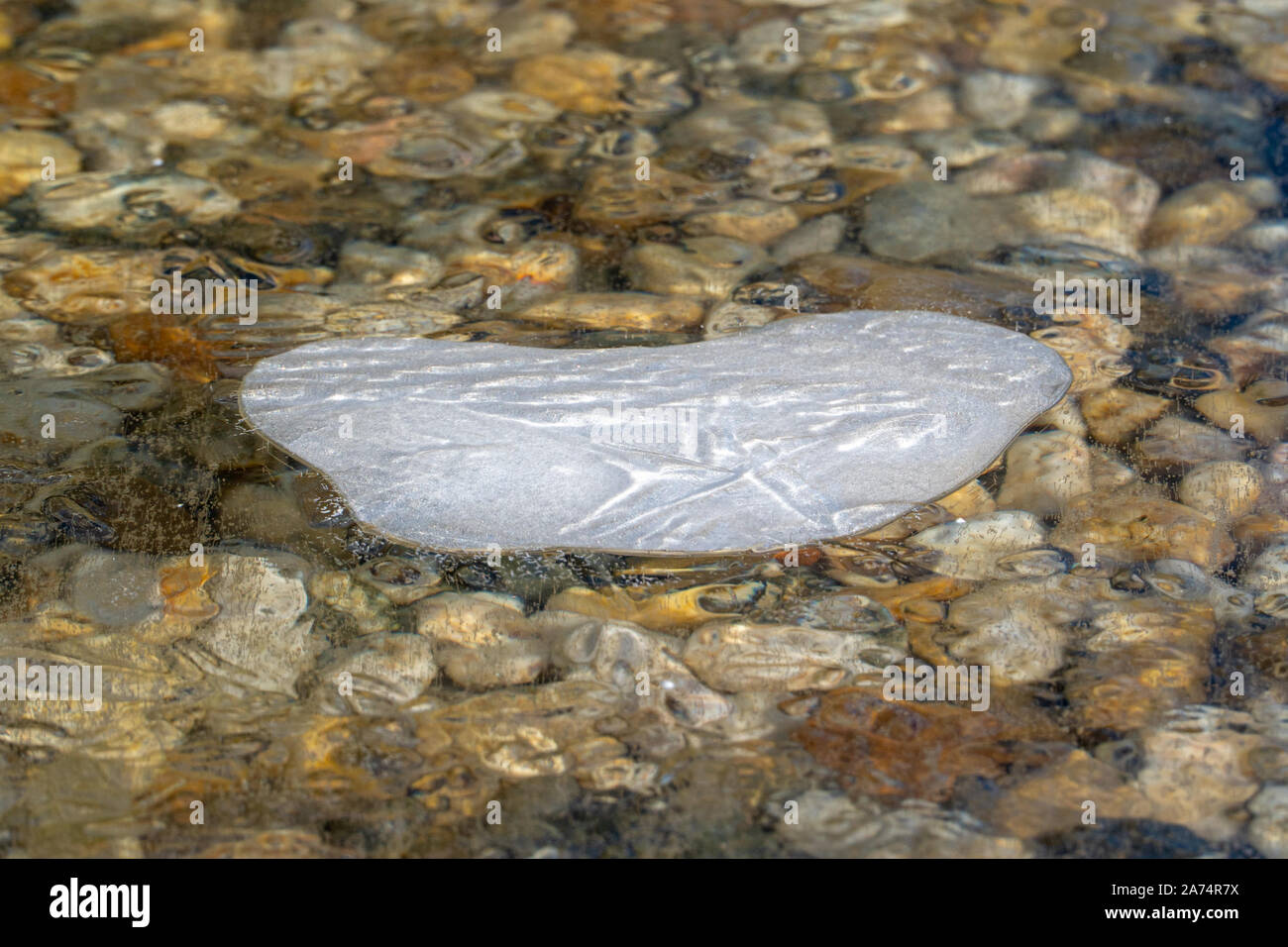 Ice air bubbles stagnated in frozen cold frozen water with colorful stones below. Stock Photo