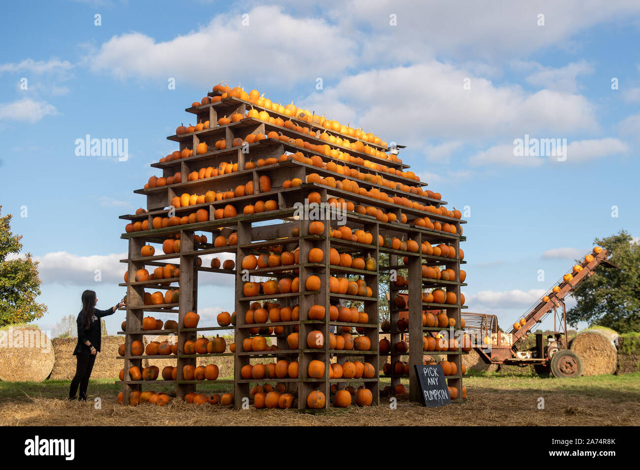 Visitors at the pumpkin house at Brookhill Farm in Thursford, Norfolk