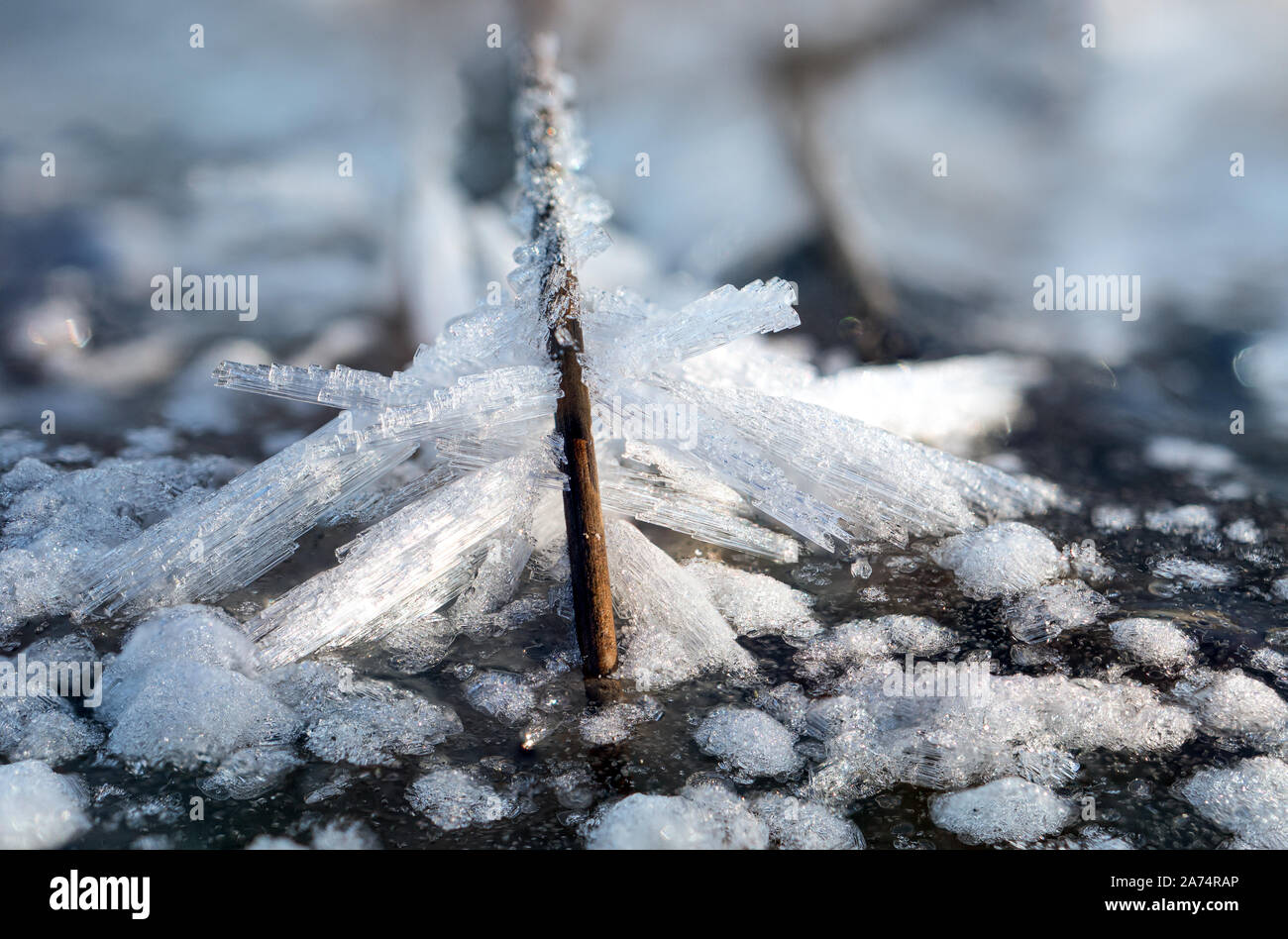 Microstructure hi-res stock photography and images - Alamy