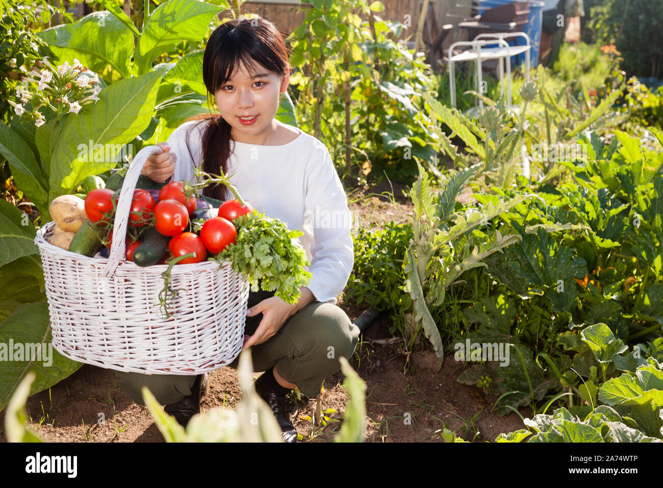 Young Asian female gardener holding basket full of vegetable harvest on ...