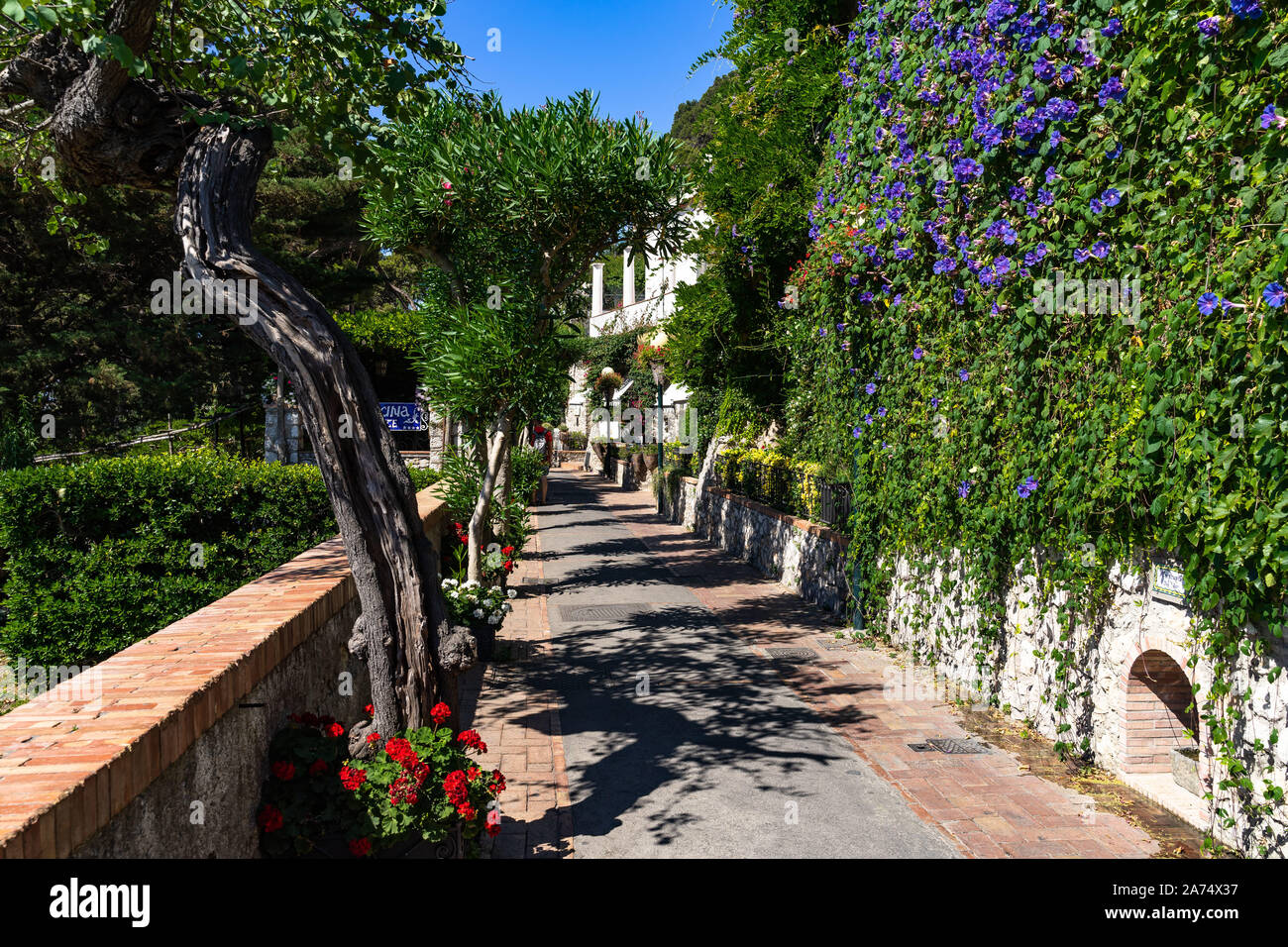 Capri promenade in a beautiful summer day leading to Gardens of Augustus, Campania, Italy Stock Photo