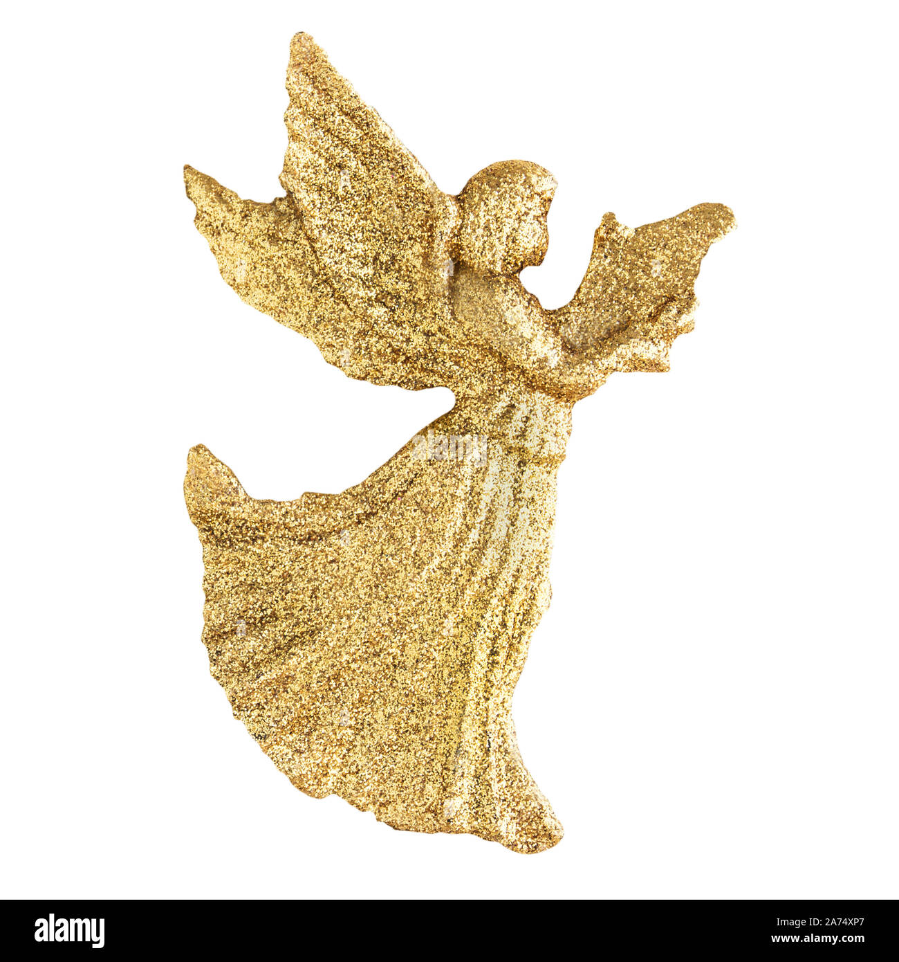 Golden Angel Wings Printed Backdrop