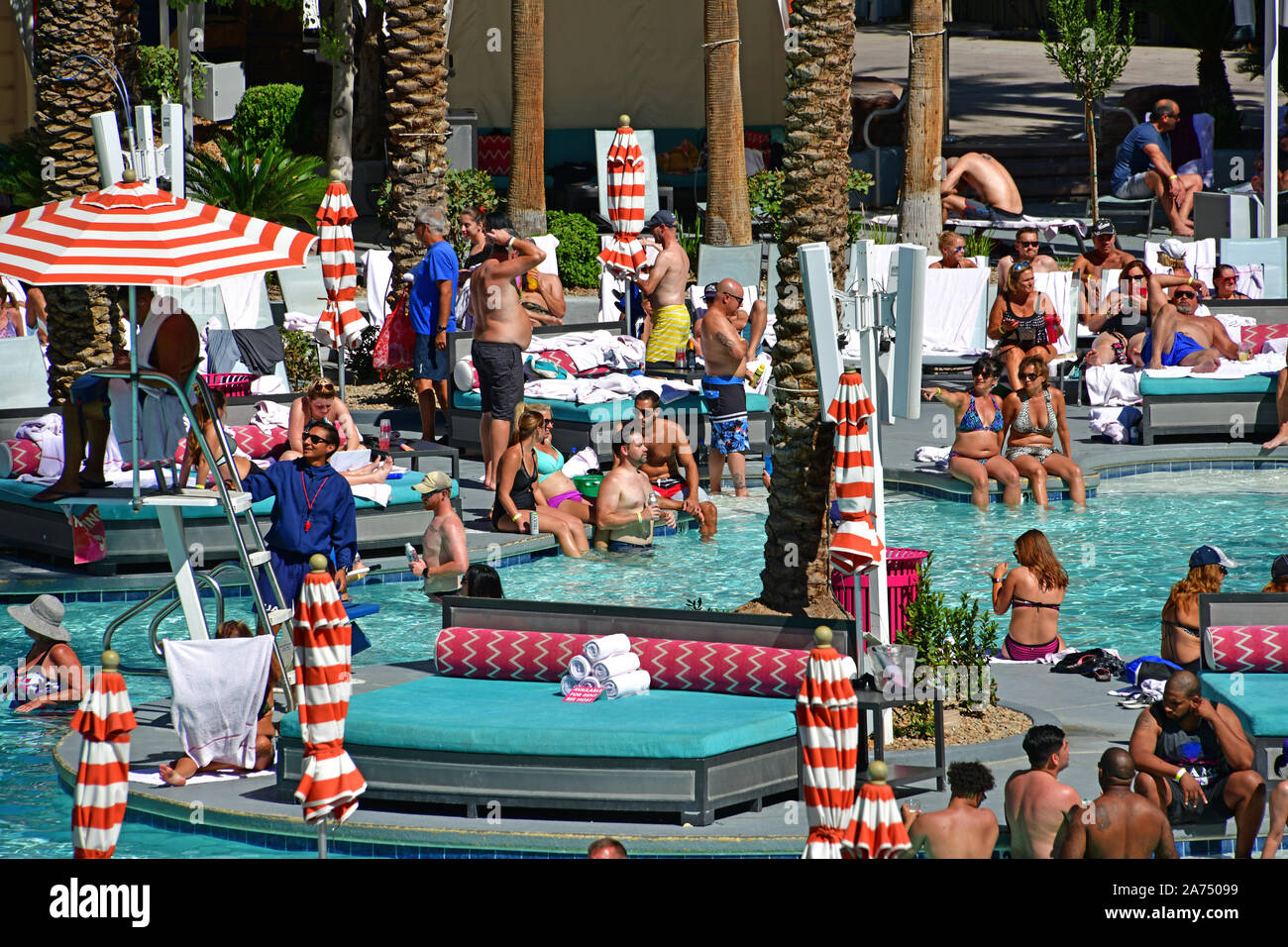 Pool at Flamingo Hotel & Casino, Las Vegas