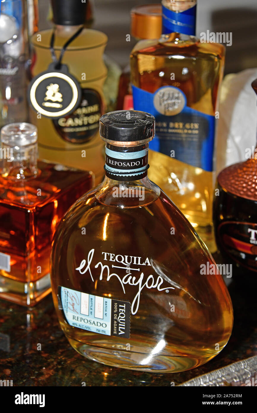 Louisville KY, USA 102619 Tequila Bottle El Mayor Reposado Tequila