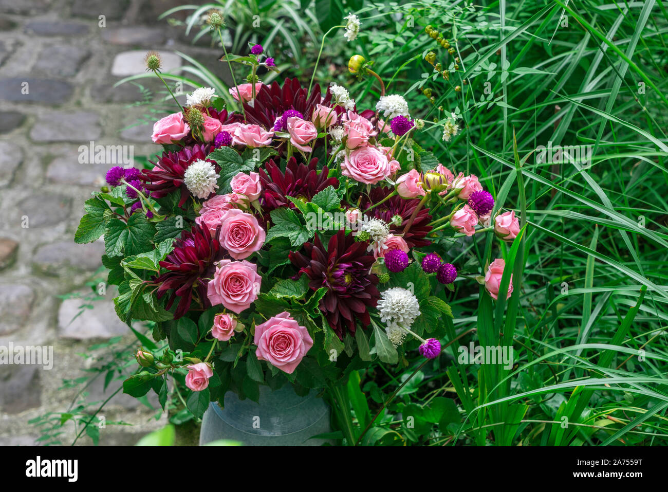 Bouquet of Dahlia (Dahlia sp), Rose (Rosa sp), Globe amaranth (Gomphrena globosa), Scabieusia (Scabiosa sp) Stock Photo