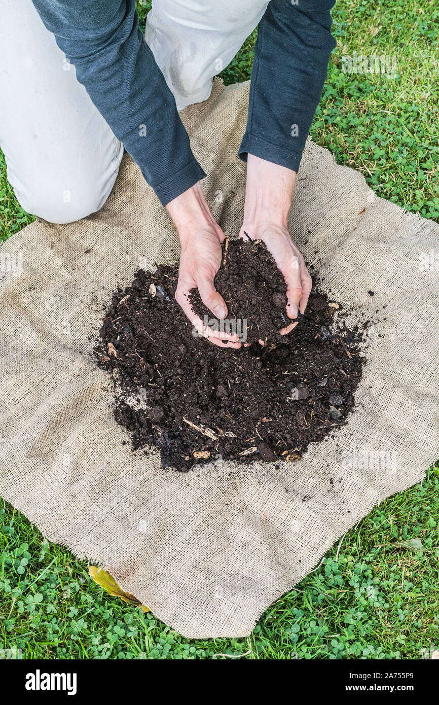 Preparation of compost tea (step by step). Preparation of compost tea