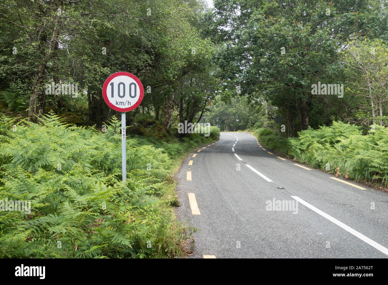 100km and hour speed limit on an irish country road green lane with a dangerous bend Stock Photo