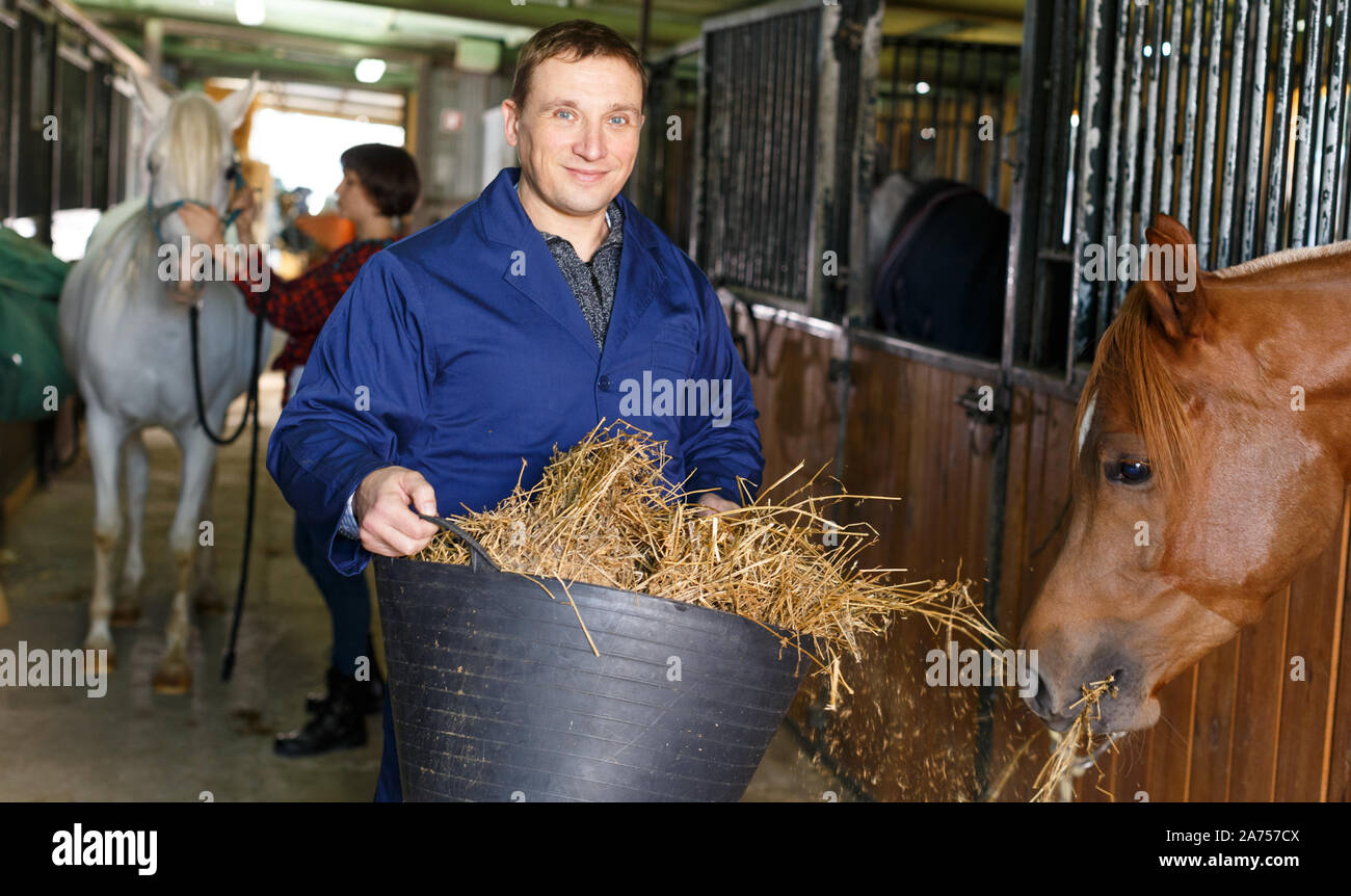 Male farm worker feeding horse with hay at stable Stock Photo Alamy