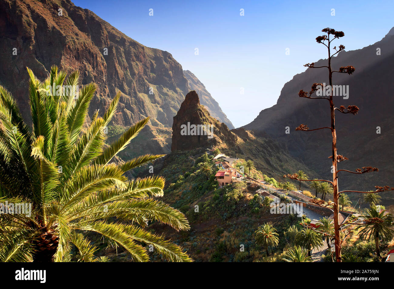 Canary Islands, Tenerife, Masca Mountain Village Stock Photo
