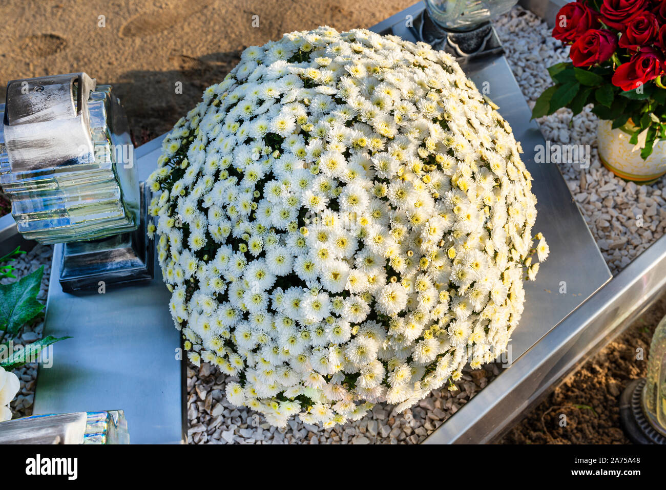 Chrysanthemum on grave in cemetery hires stock photography and images
