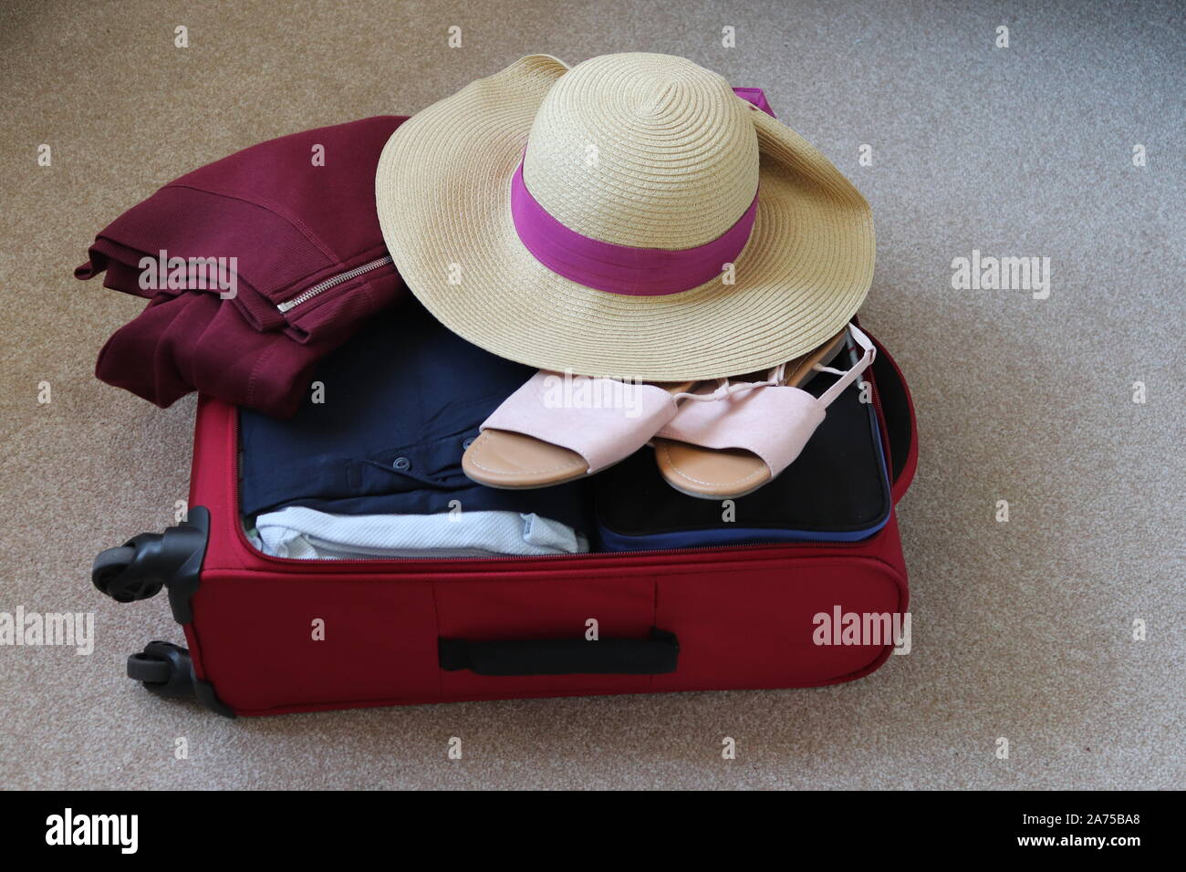 holiday hand luggage