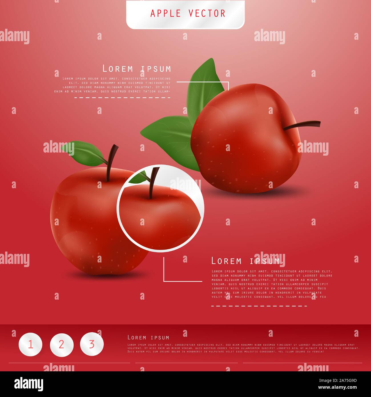 Realistic Red Apples Banner background. Realistic 3d apples. Detailed 3d Illustration Poster or Banner. Healthy and Natural fruit design. Stock Vector