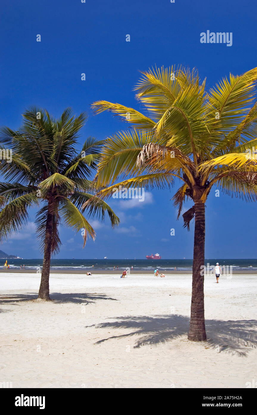 BRAZIL ~ 1950's SANTOS ~ Praia Gonzaga ~ BEACH ~ Real Photo PC RPPC