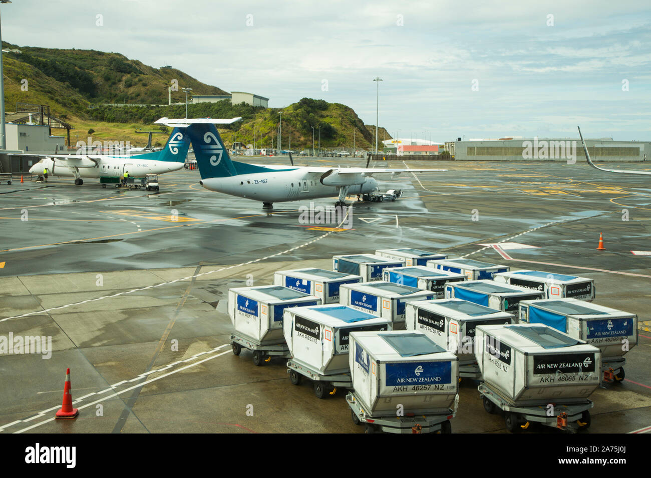 AIR NEW ZEALAND,WELLINGTON Airport Stock Photo Alamy