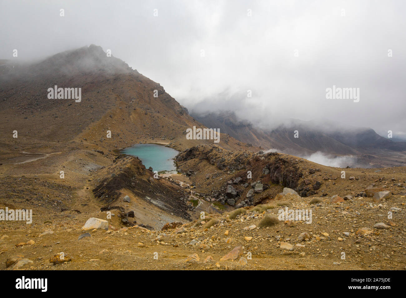 TONGARINO ALPINE CROSSING,NEW ZEALAND Stock Photo