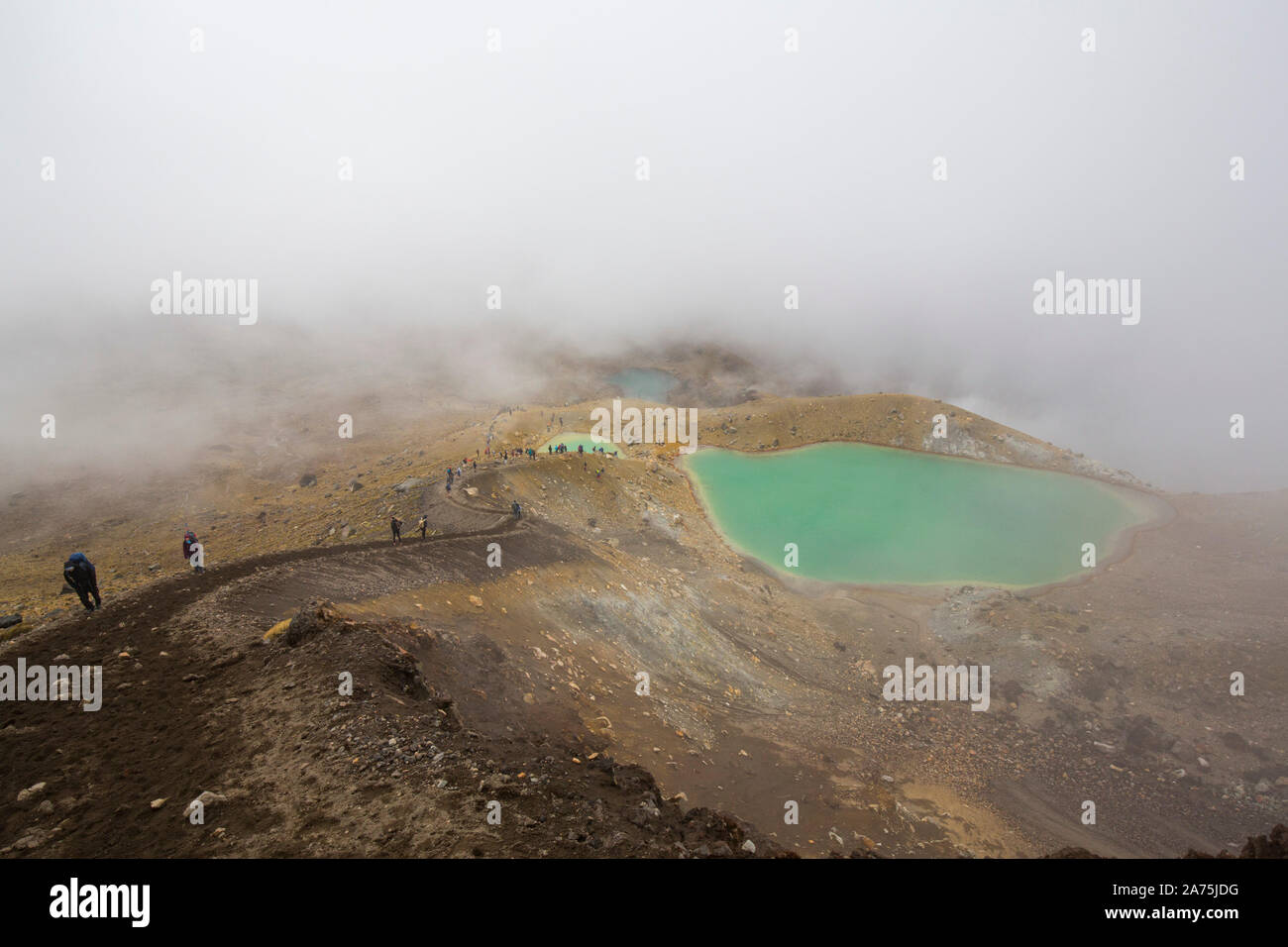 TONGARINO ALPINE CROSSING,NEW ZEALAND Stock Photo